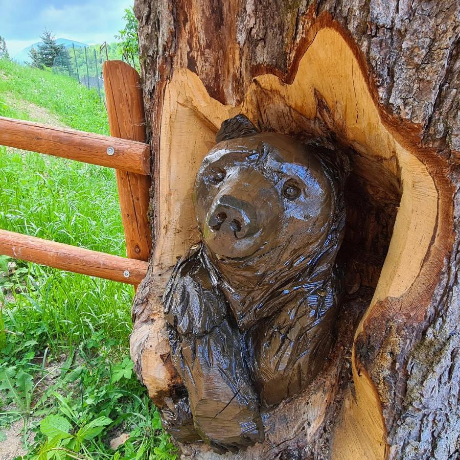 Penzion Duhovy Pstruh Bystrá Екстериор снимка